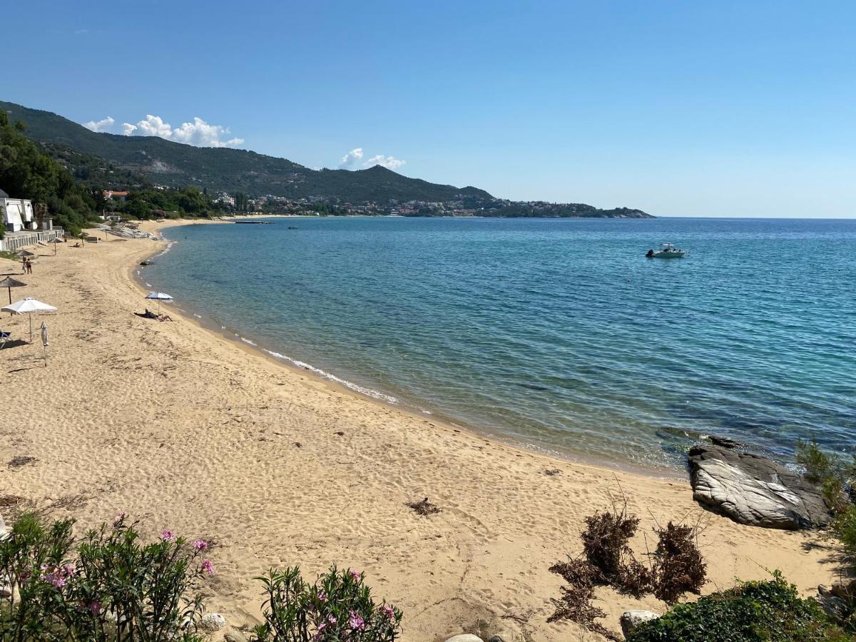 Irini Seaside Apartment PalaiónTsiflíkion المظهر الخارجي الصورة