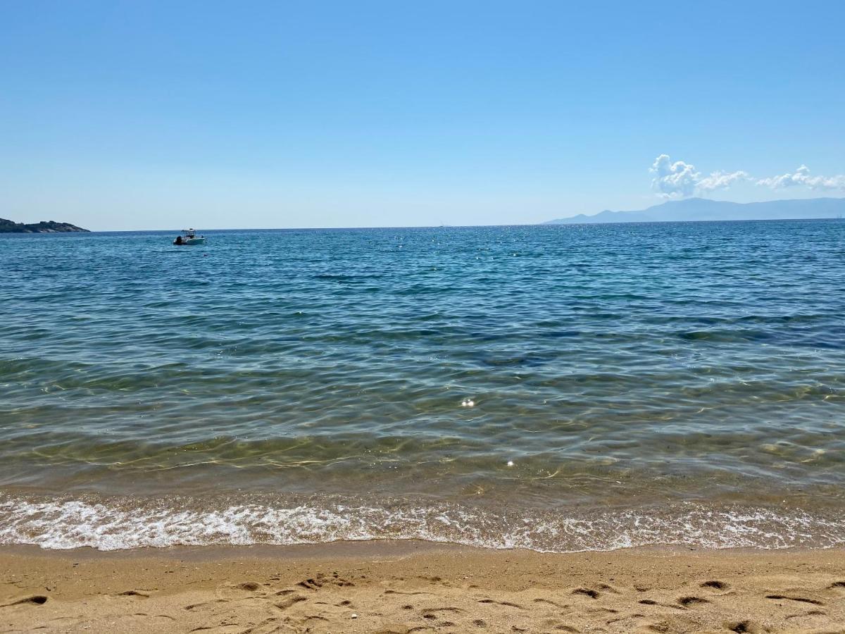 Irini Seaside Apartment PalaiónTsiflíkion المظهر الخارجي الصورة