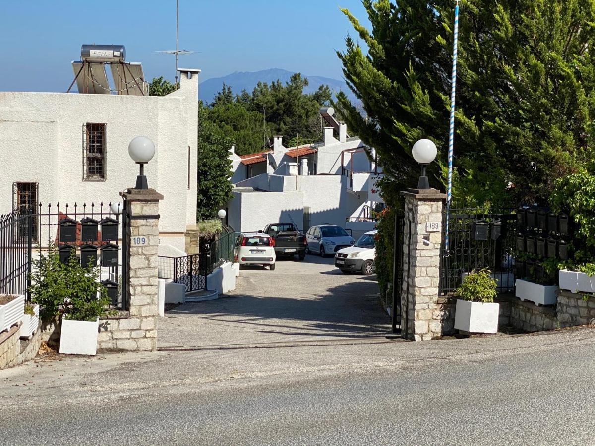 Irini Seaside Apartment PalaiónTsiflíkion المظهر الخارجي الصورة