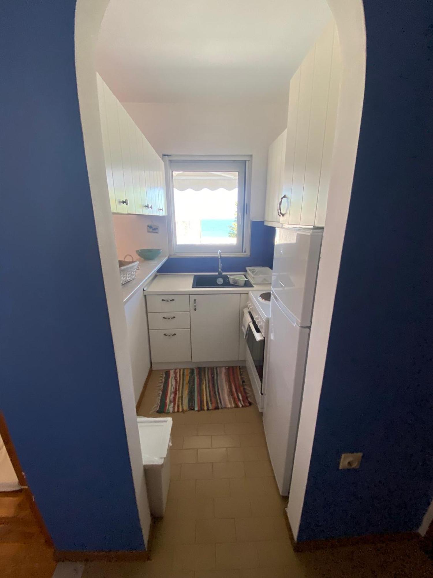 Irini Seaside Apartment PalaiónTsiflíkion المظهر الخارجي الصورة