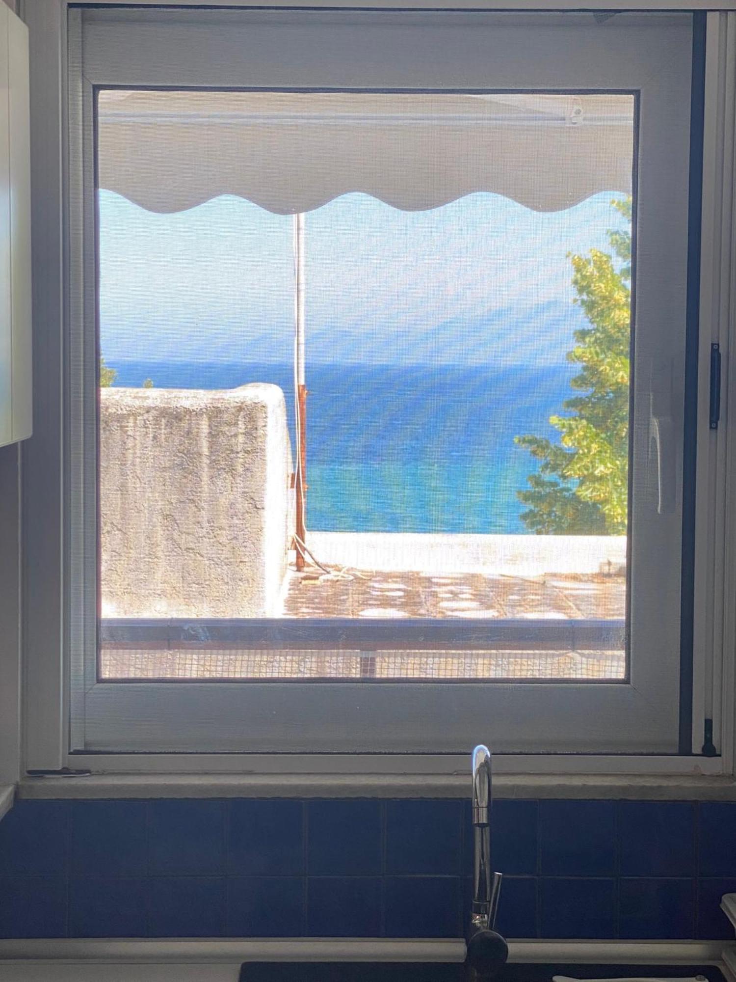 Irini Seaside Apartment PalaiónTsiflíkion المظهر الخارجي الصورة